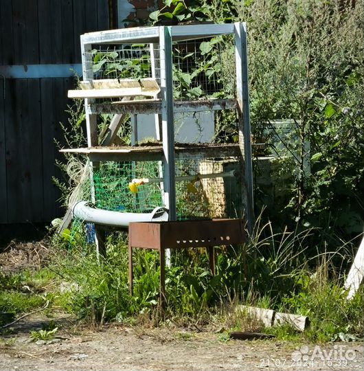 Клетка для птиц бу