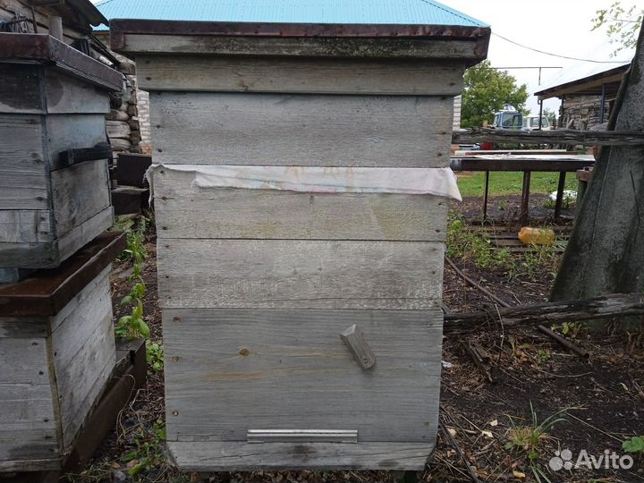 Продаются даданы