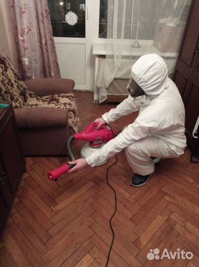 Удаление плесени #клопов, тараканов# Пос. смерти #