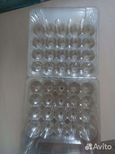 Лотки для перепелинных яиц