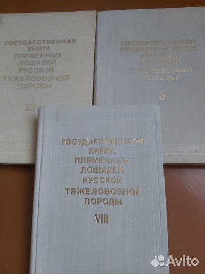 Госплемкниги русских тяжеловозов