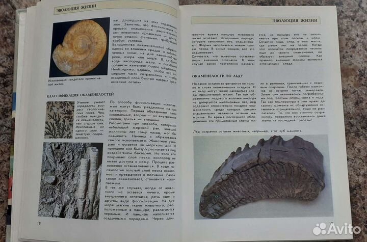 Большая энциклопедия природы для детей