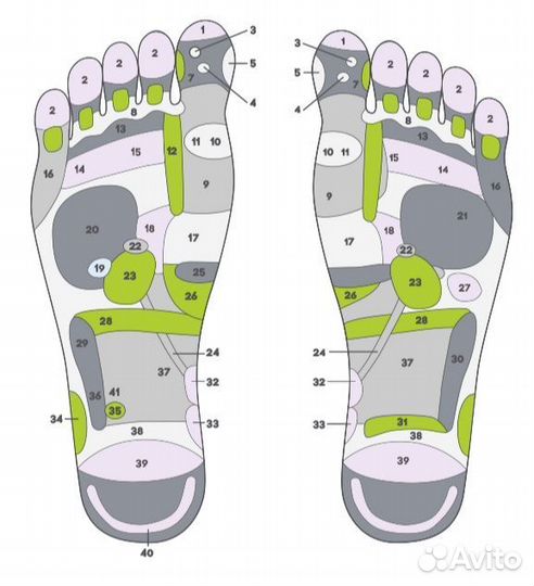 Массажер для ног Ergonova Feelfoot 2