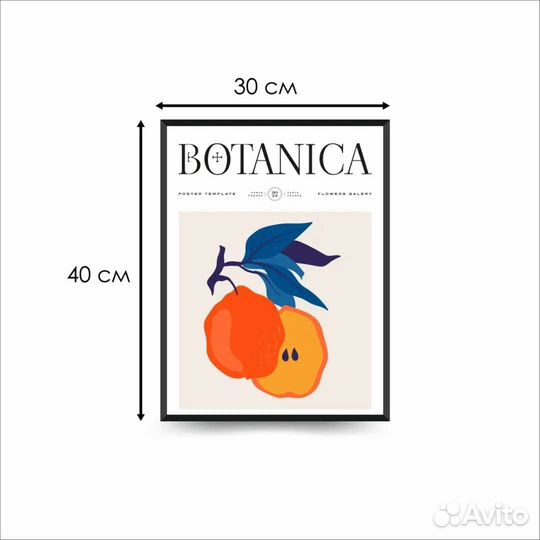 Плакаты постеры