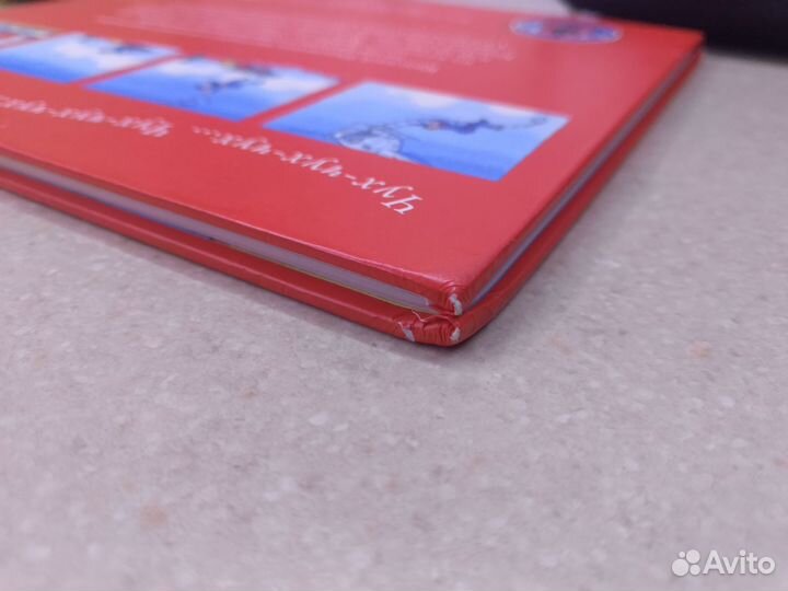 Большая погоня книга