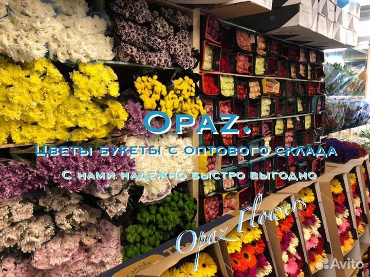 101 роза 51 роза 25 15 роз Цветы Букеты Доставка