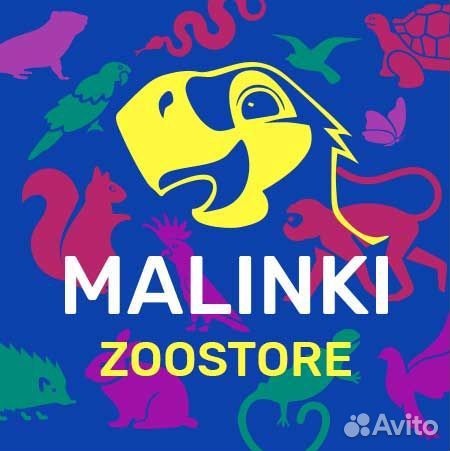 Оптовый менеджер по продажам