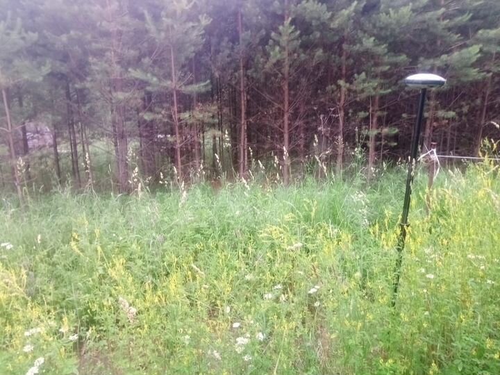 Участок 8 сот. (СНТ, ДНП)