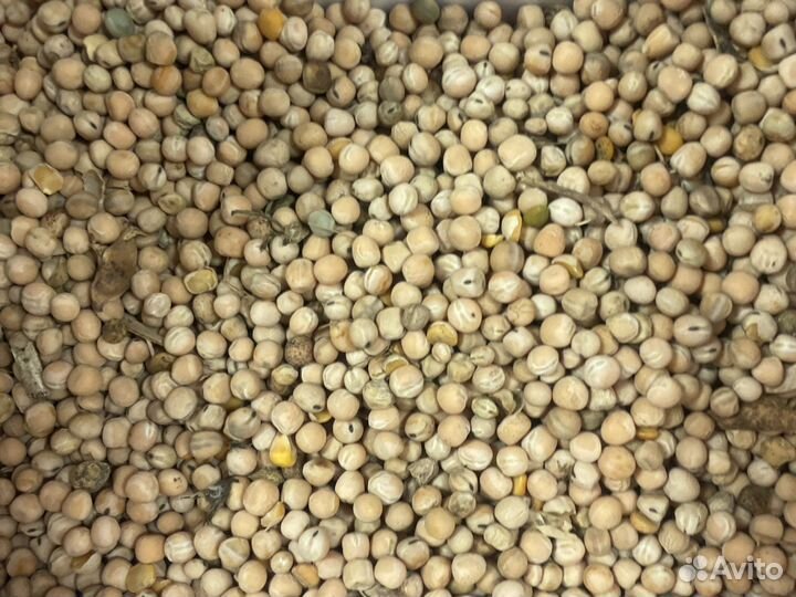 Отруби, жом, горчица, горох, жмых