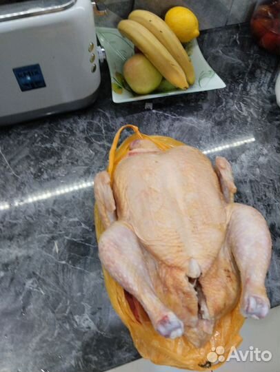 Куры бройлеры тушки мясо