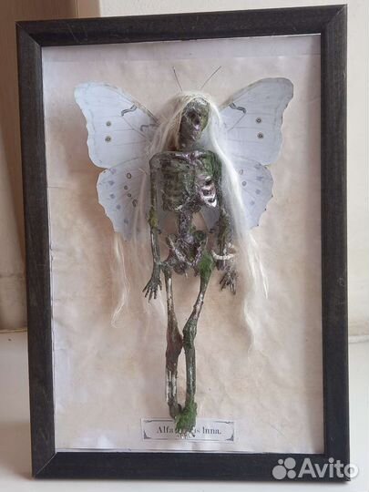 Таксидермия мертвая фея в рамке