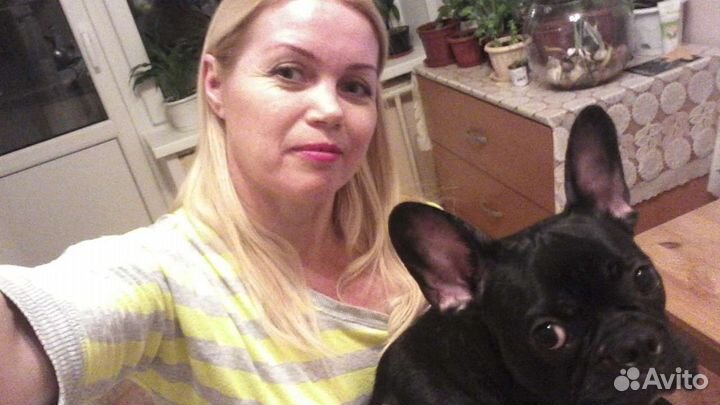 Уход за животными на время отпуска