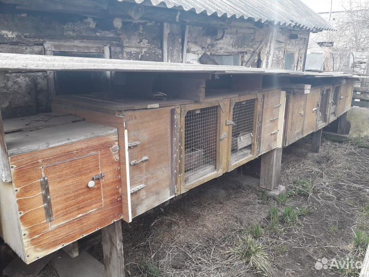 Клетки для кроликов