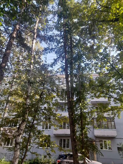 4-к. квартира, 110,8 м², 2/5 эт.