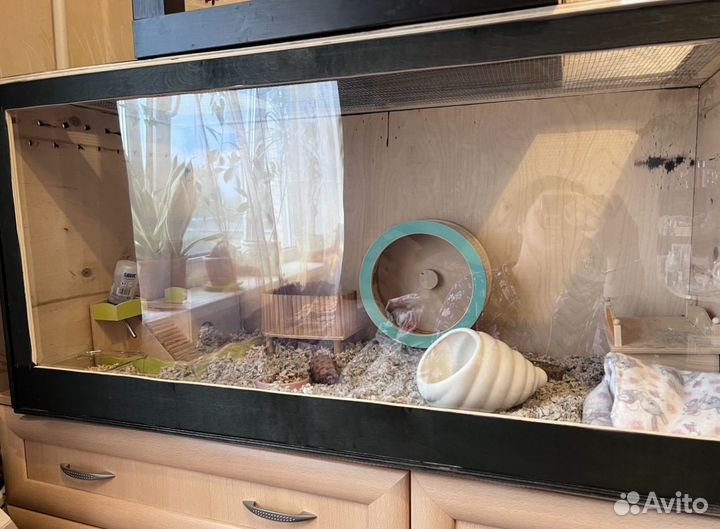 Стеллаж для грызунов