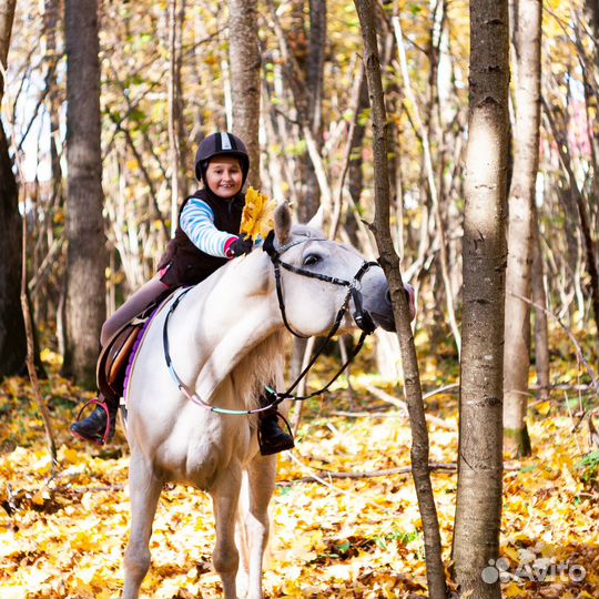 Верховая езда для детей, иппотерапия