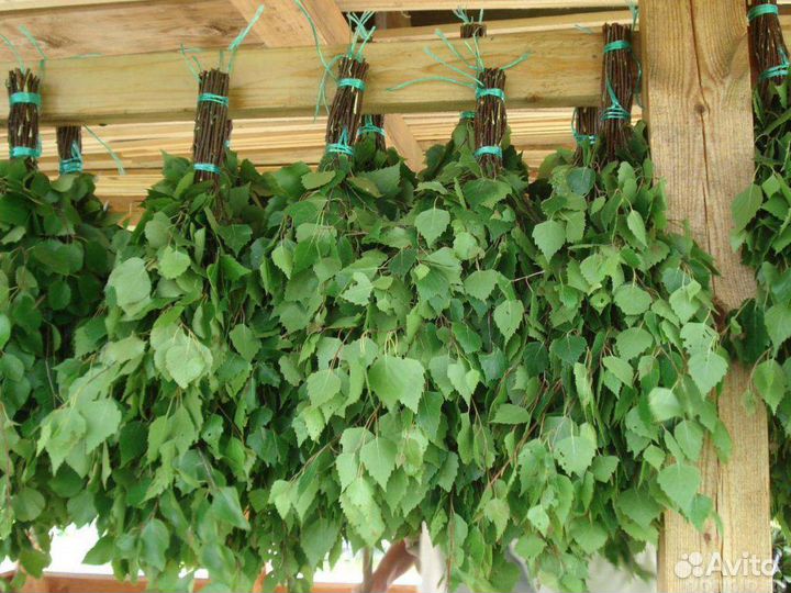 Веники дубовые, березовые