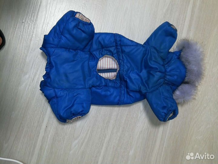 Одежда для маленьких пород собак