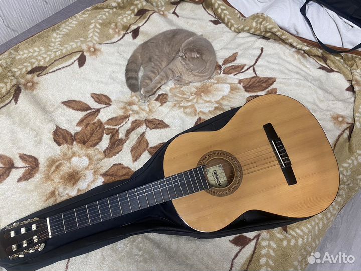 Гитара Hohner hc 06