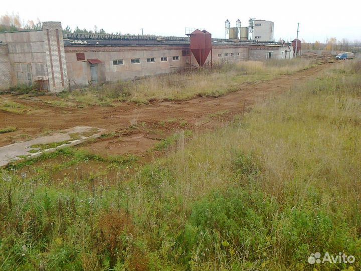 Помещение свинокомплекс коровник ферма крс скот
