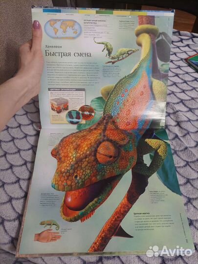 Суперэнциклопедия животных