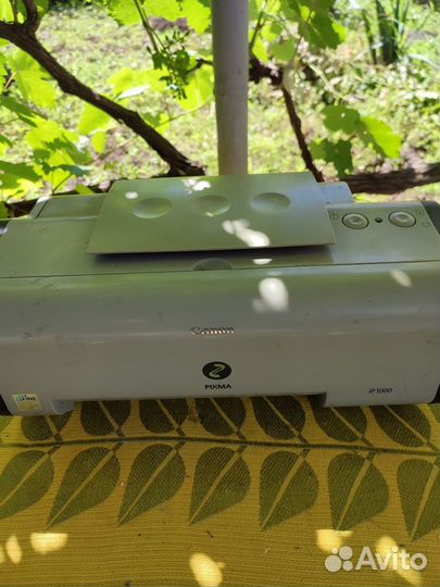 Принтер canon pixma ip1000