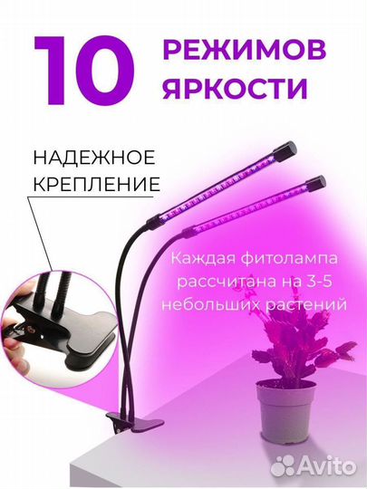 Фитолампа для рассады, растений и цветы