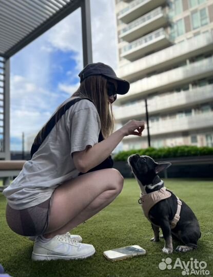 Зоогостиница.Передержка животных.Догситтер