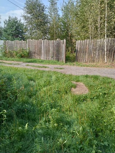 Участок 6 сот. (СНТ, ДНП)