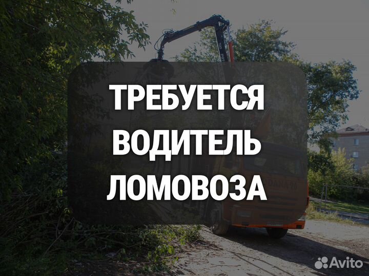 Водитель ломовоза, водитель категории С