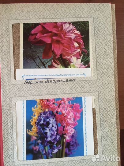 Открытки СССР