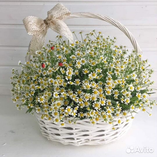 Полевые цветы в корзине