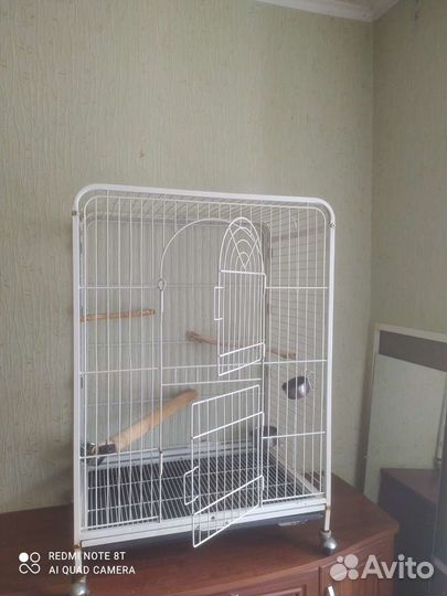 Корелла или для крупного попугая