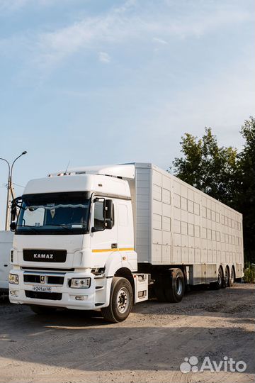 Действующий свинокомплекс