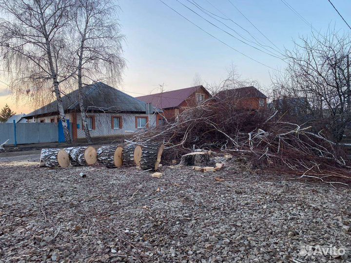 Спил валка дерева, вывоз утилизация