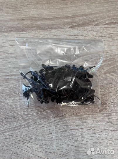 Ольховые шишки