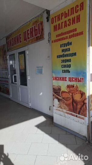 Магазин Пасечник