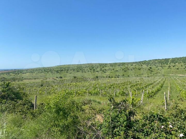 Участок 4,48 га (СНТ, ДНП)