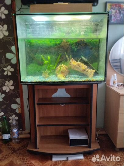 Аквариум 170 л с тумбой