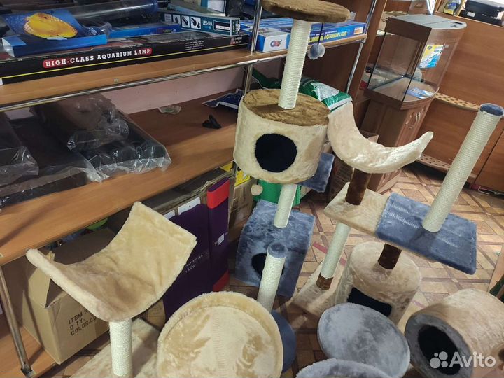 Когтеточки, домики, лежанки, переноски для котов