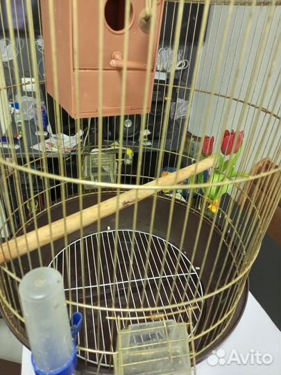 Большая Клетка для попугая