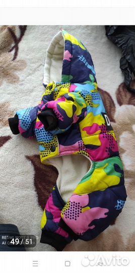 Одежда для маленьких собак s