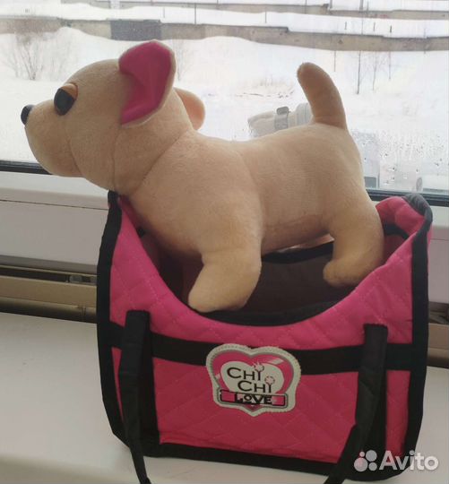 Собака Чичилав