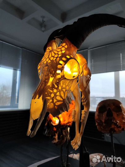 Череп, светильник, подставка