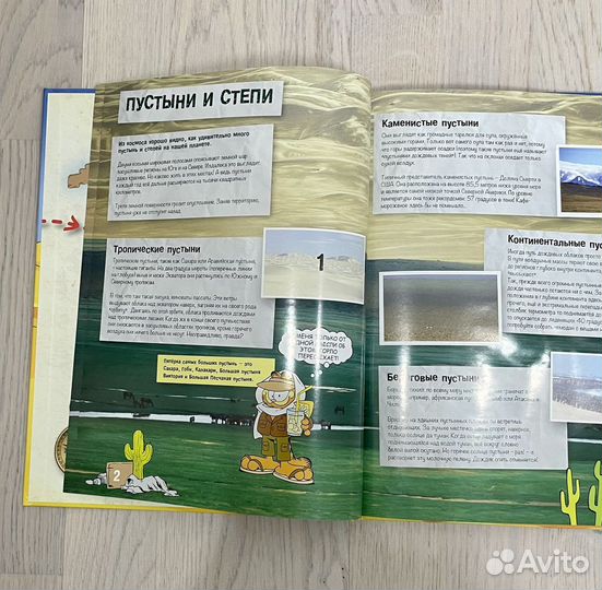 Стикермания пустыни и степи