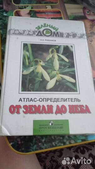 Учебники начальной школы