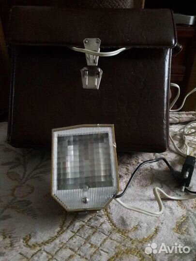 Фотовспышка чайка