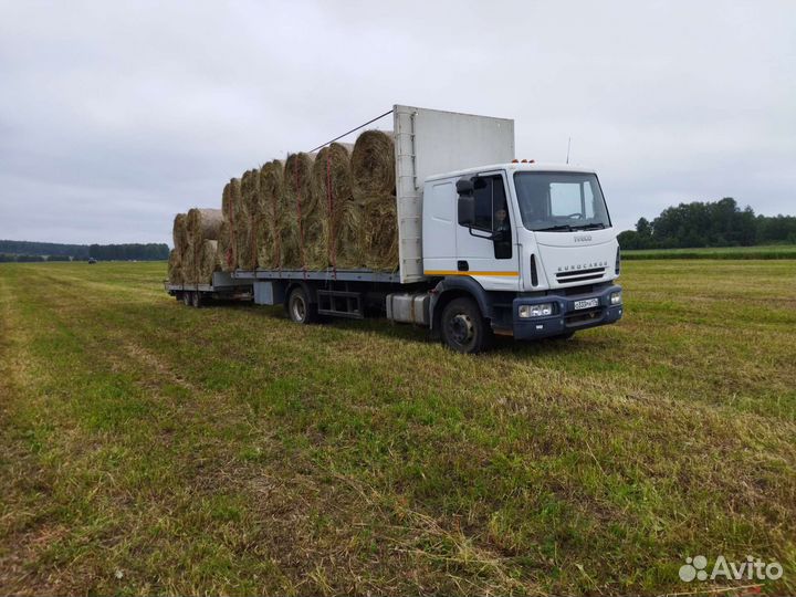 Сено в рулонах 2024. Доставка (Цена договорная)