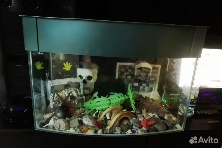 Аквариум на 100 литров