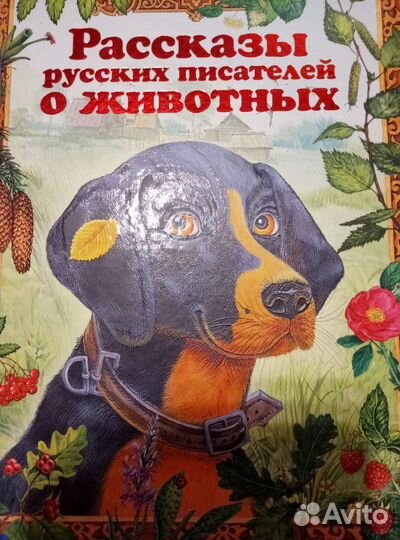 Рассказы о животных